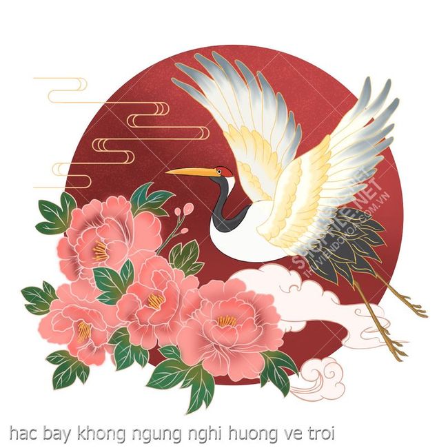hac bay khong ngung nghi huong ve troi